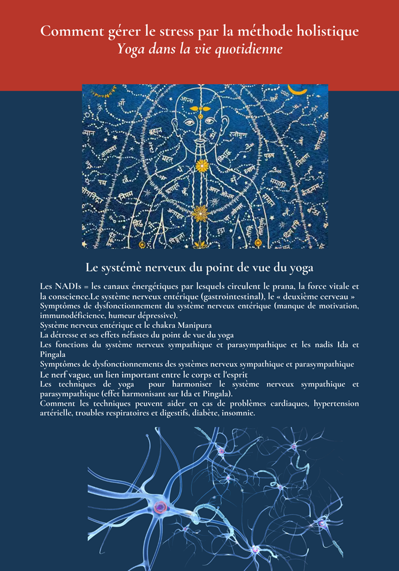 Atelier systeme nerveaux 5